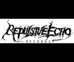 Repulsive echo Logo